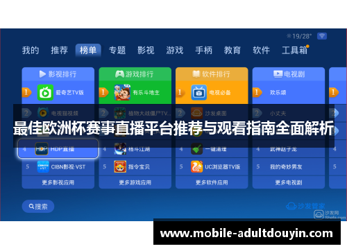最佳欧洲杯赛事直播平台推荐与观看指南全面解析